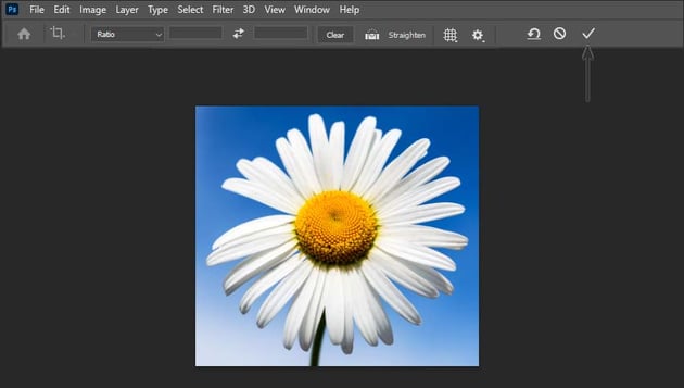 finishing the cropping